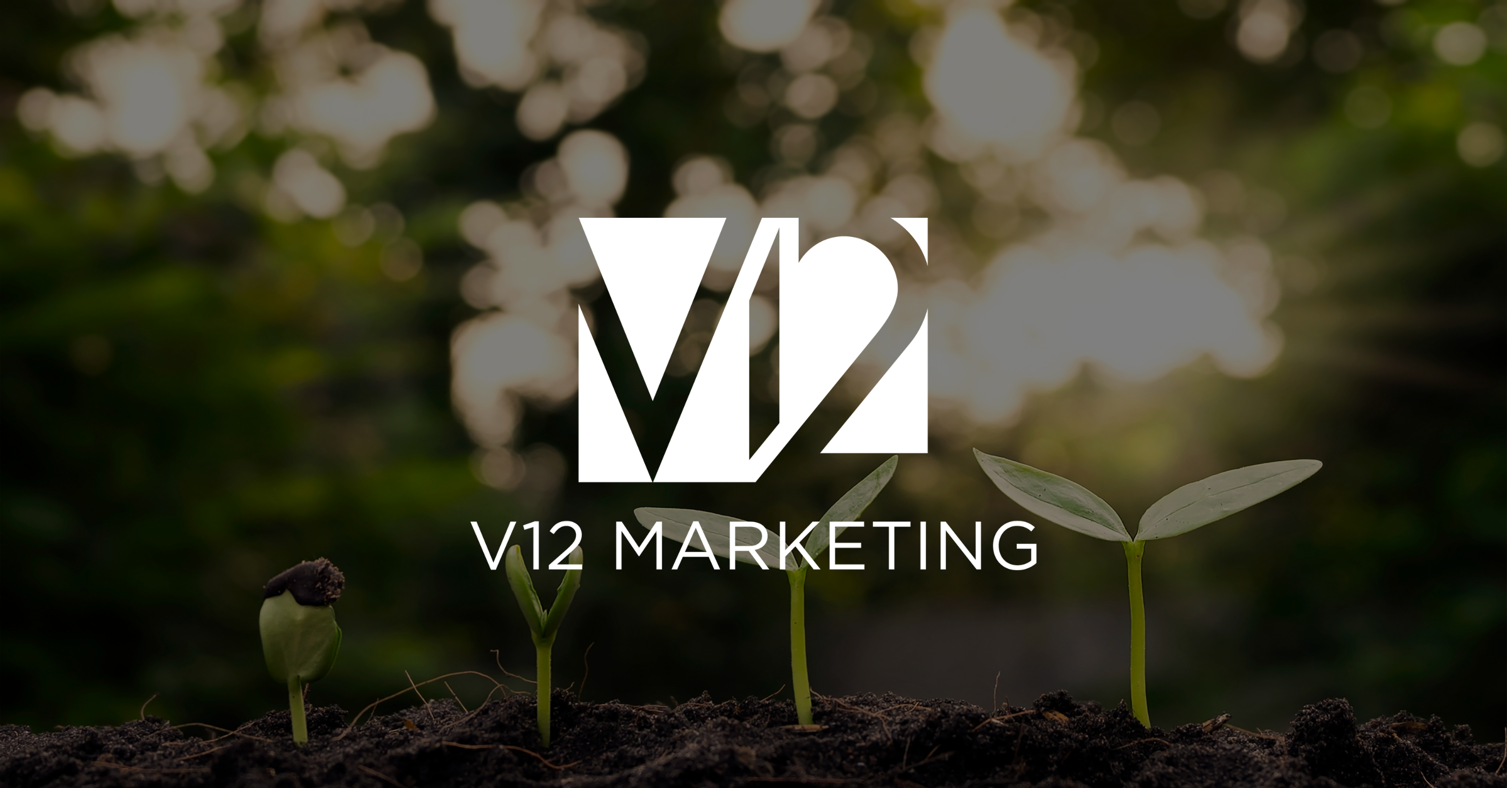 V12 Marketing - Growth Hacking