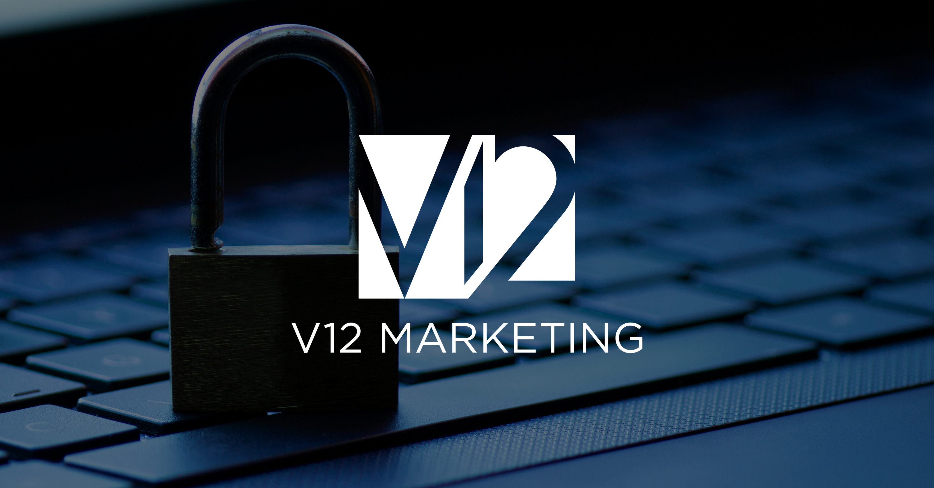 V12 Marketing - Privacy and Data