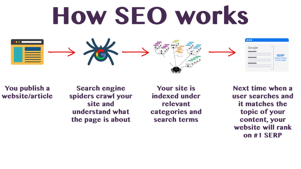 How SEO Works V12 Marketing